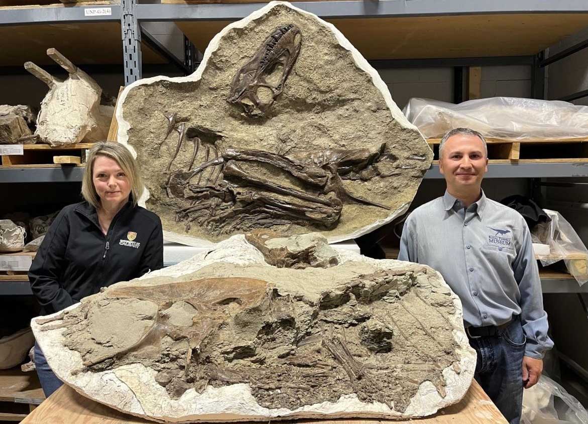  آخرین غذای این دایناسور بعد از 75 میلیون سال در درون فسیلش پیدا شد! 